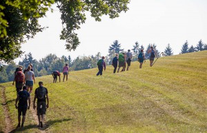 Wandern durchs Elbsnadsteingebirge