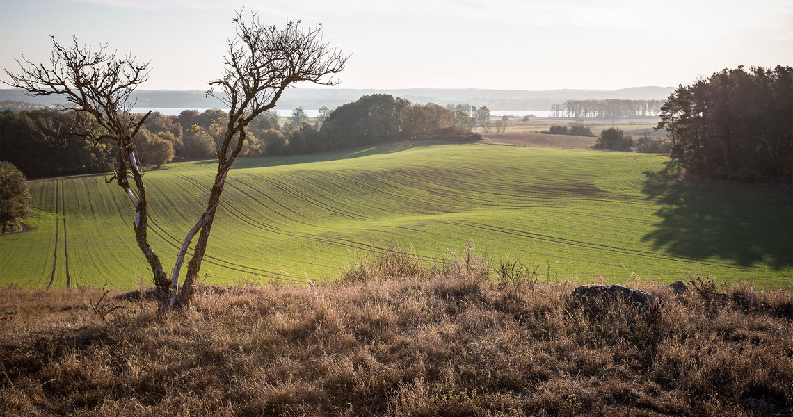 Yogaauszeit Uckermark